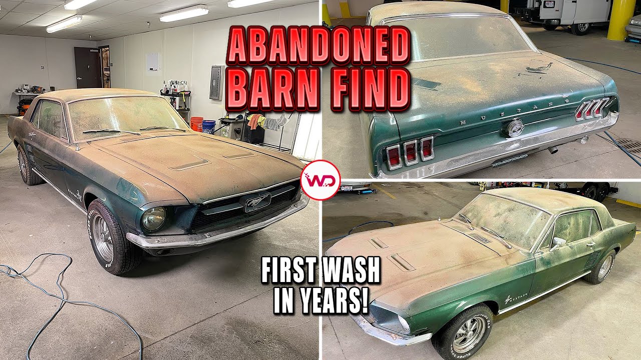 ABANDONED BARN FIND First Wash In Years Mustang! American Muscle Car Detailing Restoration